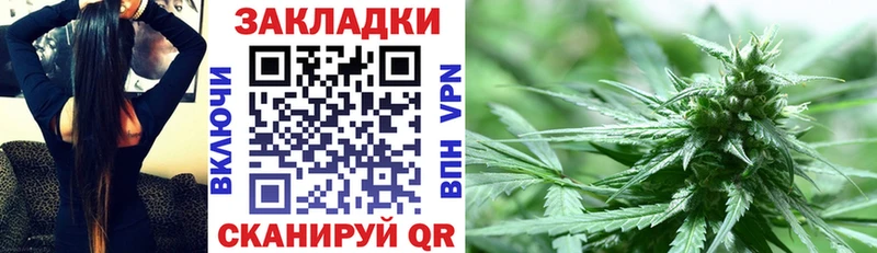 Как найти наркотики Шенкурск Alpha PVP Cocaine Гашиш Меф мяу мяу Бошки Шишки