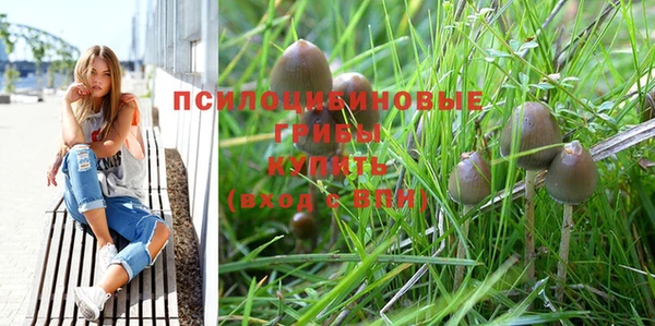таблы Новозыбков