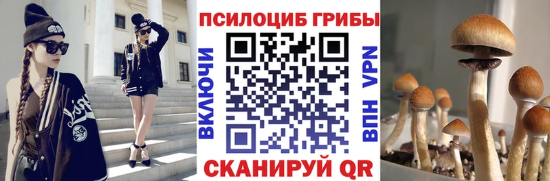 Галлюциногенные грибы MAGIC MUSHROOMS купить сайты Шенкурск