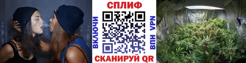 Канабис LSD WEED Шенкурск